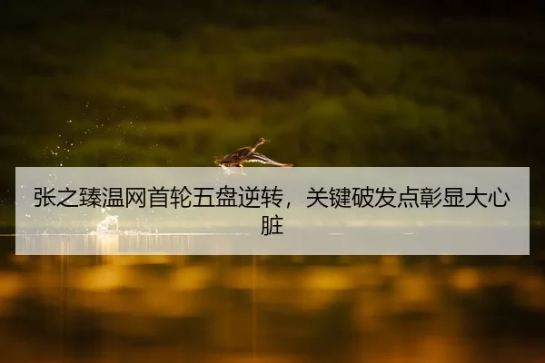 张之臻温网首轮五盘逆转，关键破发点彰显大心脏