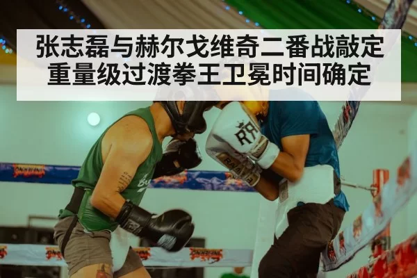 张志磊与赫尔戈维奇二番战敲定重量级过渡拳王卫冕时间确定