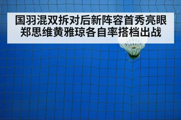 badminton net shot